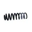 Ressort de suspension MAXGEAR 60-0497 - Visuel 1