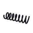 Ressort de suspension MAXGEAR 60-0502 - Visuel 1