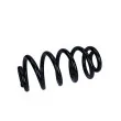 Ressort de suspension MAXGEAR 60-0517 - Visuel 1