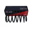 Ressort de suspension MAXGEAR 60-0585 - Visuel 2