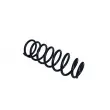 Ressort de suspension MAXGEAR 60-0665 - Visuel 1