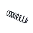 Ressort de suspension MAXGEAR 60-0718 - Visuel 1