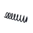 Ressort de suspension MAXGEAR 60-0745 - Visuel 1