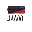 Ressort de suspension MAXGEAR 60-0753 - Visuel 2