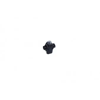 Ampoule MAXGEAR 78-0081