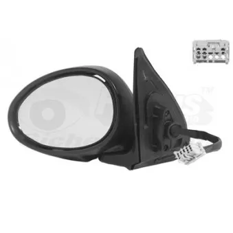 Rétroviseur extérieur VAN WEZEL 0215807