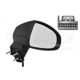 Rétroviseur extérieur VAN WEZEL 0301806