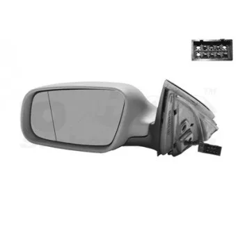 Rétroviseur extérieur VAN WEZEL 0317807