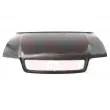 Capot-moteur VAN WEZEL 0323660 - Visuel 1