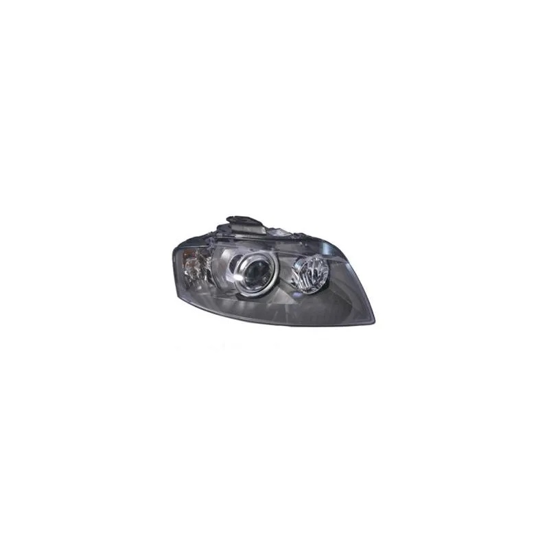 Projecteur principal VAN WEZEL 0332988M