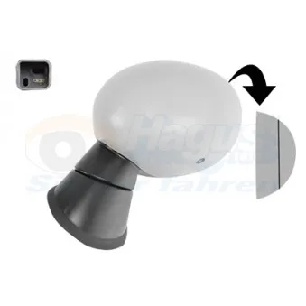 Rétroviseur extérieur VAN WEZEL 0522827