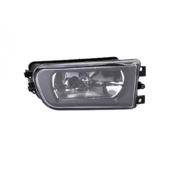 Projecteur antibrouillard VAN WEZEL 0639996