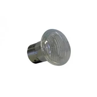 Feu clignotant VAN WEZEL 1604915