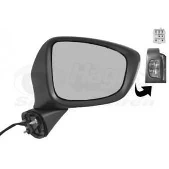 Rétroviseur extérieur VAN WEZEL 2780808