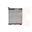 Radiateur, refroidissement du moteur VAN WEZEL 30002085 - Visuel 1