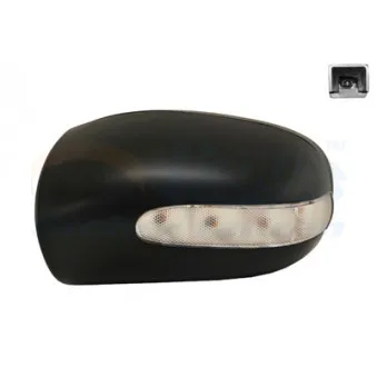 Revêtement, rétroviseur extérieur VAN WEZEL 3032841