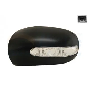 Revêtement, rétroviseur extérieur VAN WEZEL 3032843