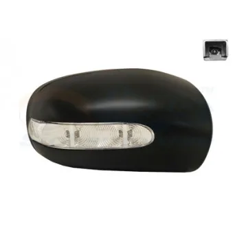 Revêtement, rétroviseur extérieur VAN WEZEL 3032844