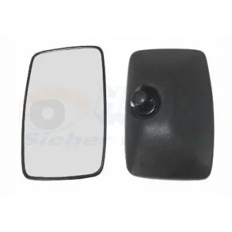 Rétroviseur extérieur VAN WEZEL 3070800