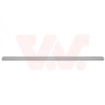Porte arrière VAN WEZEL 3098290