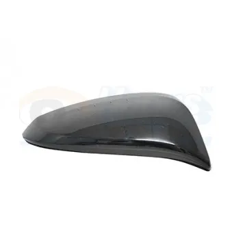 Revêtement, rétroviseur extérieur VAN WEZEL