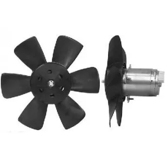 Ventilateur, refroidissement du moteur VAN WEZEL 5812748