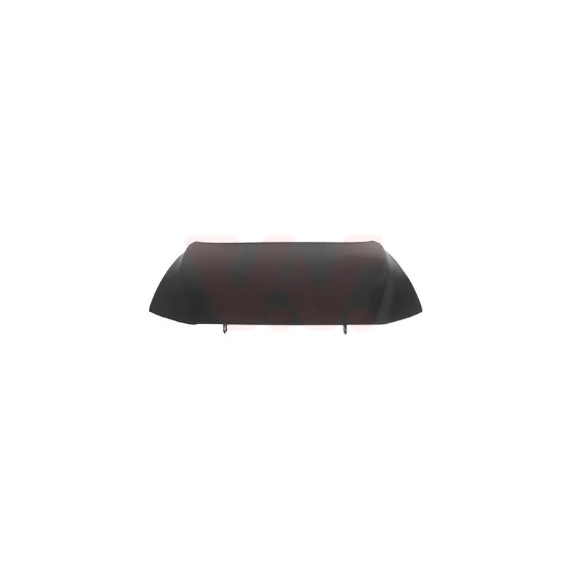 Capot-moteur VAN WEZEL 5920660