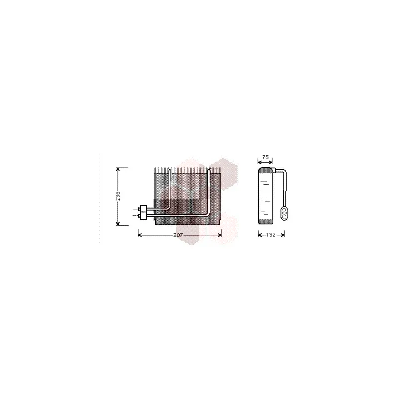 Évaporateur climatisation VAN WEZEL 8200V014