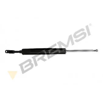 Jeu de 2 amortisseurs avant BREMSI