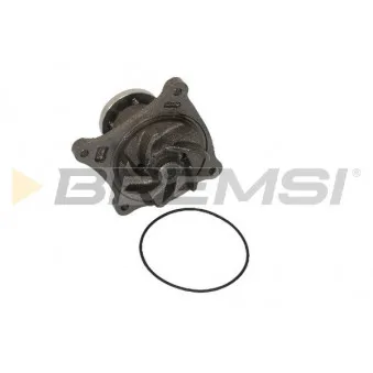 Pompe à eau BREMSI