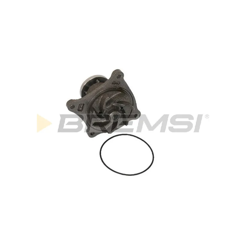 Pompe à eau BREMSI WP0495