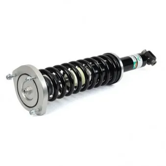 Jeu de 2 amortisseurs arrière Arnott SK-3627