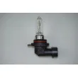 Ampoule, projecteur longue portée RAP LIGHTING RAP-HIR2 - Visuel 1