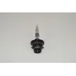 Ampoule Xenon D2S RAP LIGHTING RAP-D2R - Visuel 2