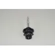 Ampoule, projecteur longue portée RAP LIGHTING RAP-D2S - Visuel 1