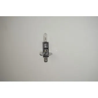 Ampoule, projecteur longue portée RAP LIGHTING RAP-H1