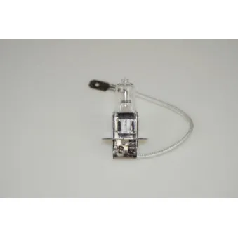 Ampoule, projecteur antibrouillard RAP LIGHTING