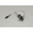 Ampoule, projecteur antibrouillard RAP LIGHTING RAP-H3 - Visuel 2