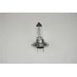 Ampoule, projecteur longue portée RAP LIGHTING RAP-H7 - Visuel 1