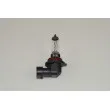Ampoule, projecteur longue portée RAP LIGHTING RAP-HB4 - Visuel 1