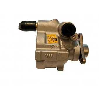 Pompe hydraulique, direction GRESA PV-D021