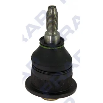 Rotule de suspension FRAP F882