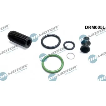 Kit de réparation, unité pompe-injecteur Dr.Motor DRM005L