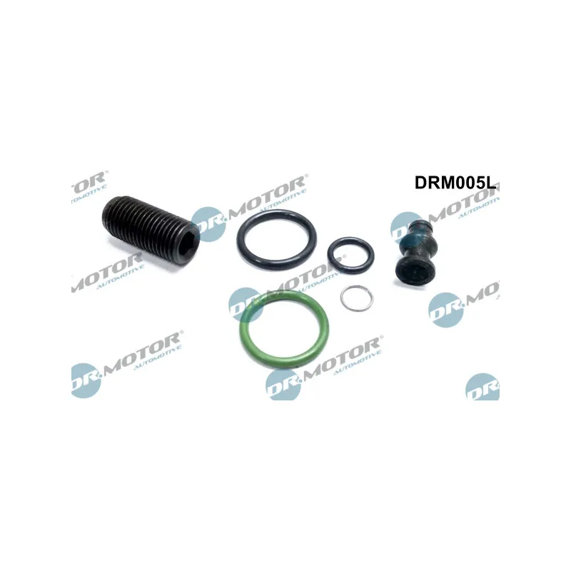 Kit de réparation, unité pompe-injecteur Dr.Motor DRM005L