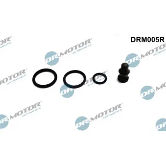 Kit de réparation, unité pompe-injecteur Dr.Motor DRM005R