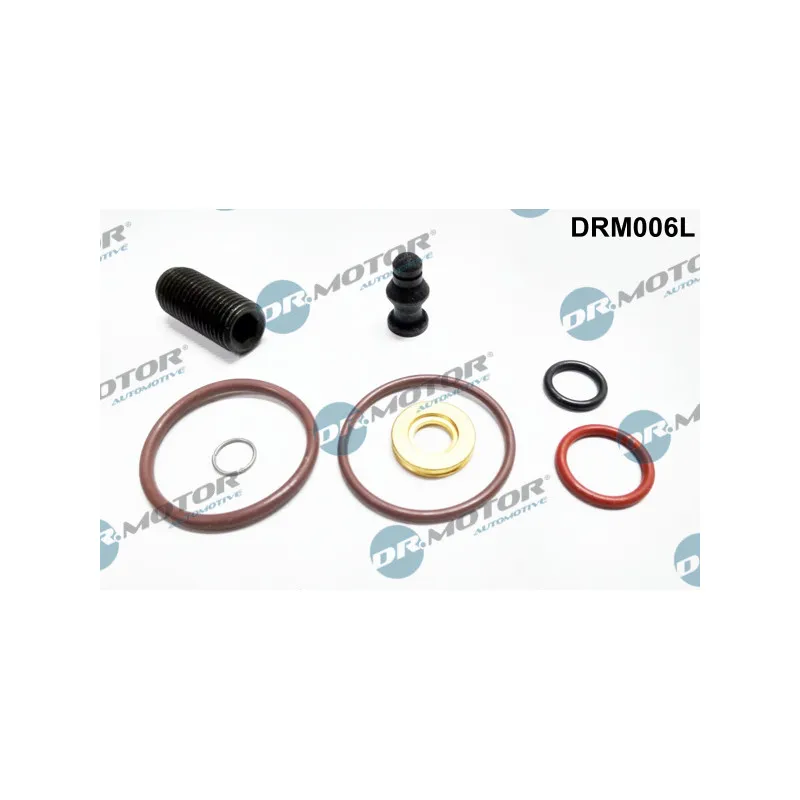 Kit de réparation, unité pompe-injecteur Dr.Motor DRM006L