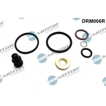 Kit de réparation, unité pompe-injecteur Dr.Motor DRM006R