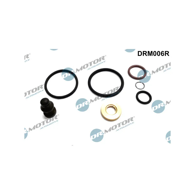 Kit de réparation, unité pompe-injecteur Dr.Motor DRM006R