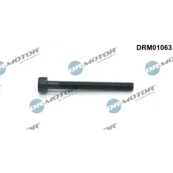 Vis, support pour controleur d'injecteurs Dr.Motor DRM01063