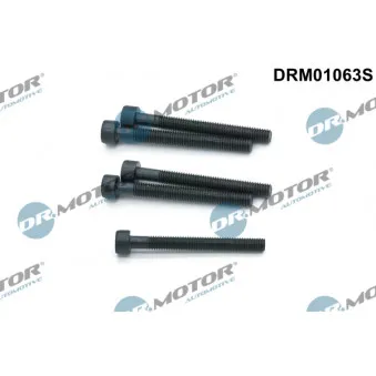 Vis, support pour controleur d'injecteurs Dr.Motor DRM01063S